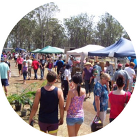 Cabarlah Markets
