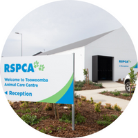 RSPCA Toowoomba